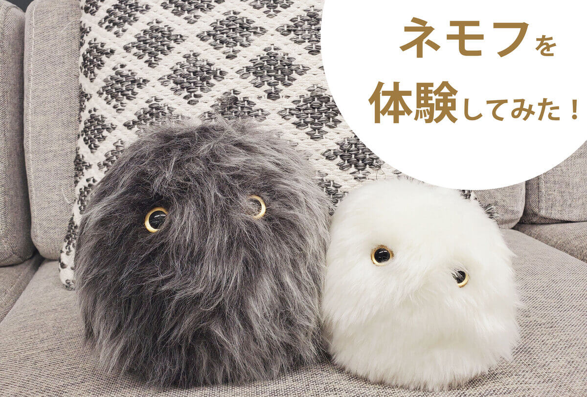 睡眠サポートロボットnemoph(ネモフ)を実際に体験してみた！